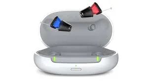 1. Signia Silk Charge&Go – Invisible (CIC) Hearing Aids in India – Prices, Brands & Who Should Get Them