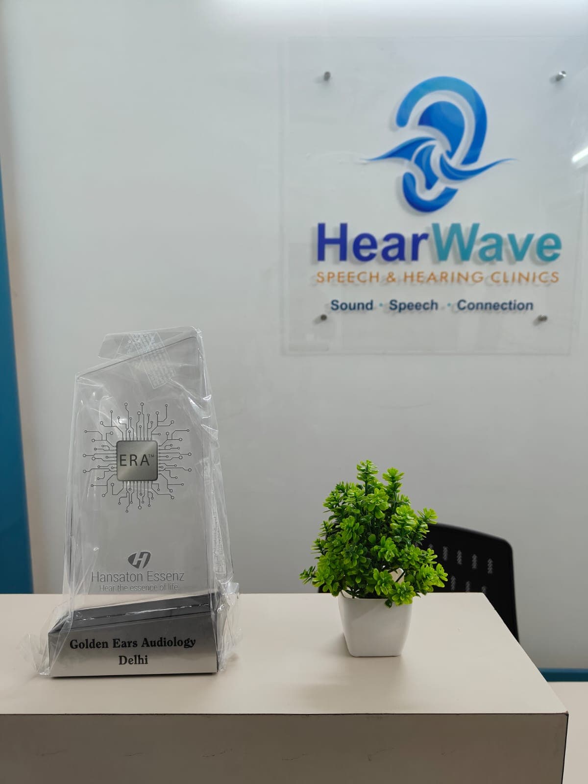 HearWave hearing aid clinic Noida — patient consultation in progress